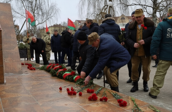 t3gzzfc4vnrmt0cwdb0bfd37h0